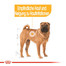 ROYAL CANIN Medium dermacomfort 3 kg