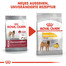 ROYAL CANIN Medium dermacomfort 3 kg