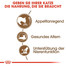 ROYAL CANIN Ageing +12 400g