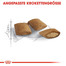 ROYAL CANIN Ageing +12 400g
