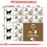 ROYAL CANIN Ageing +12 400g