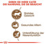 ROYAL CANIN Sterilised 12 + 4kg