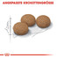 ROYAL CANIN Sterilised 12 + 4kg
