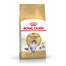 ROYAL CANIN Norvegian 2 kg