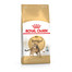 ROYAL CANIN Bengal Adult 10 kg