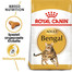 ROYAL CANIN Bengal Adult 2 kg