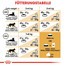 ROYAL CANIN Bengal Adult 10 kg