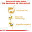 ROYAL CANIN Chihuahua Adult 12x85g