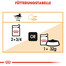 ROYAL CANIN Intense Beauty Jelly 12 x 85 g