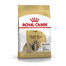 ROYAL CANIN Shih Tzu adult 0.5 kg