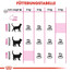 ROYAL CANIN Exigent Aromatic Attraction 33 4 kg