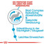 ROYAL CANIN Maxi starter mother & babydog 15 kg