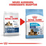 ROYAL CANIN Maxi starter mother & babydog 15 kg