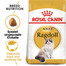 ROYAL CANIN Ragdoll adult 0.4 kg