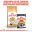 ROYAL CANIN Ragdoll adult 0.4 kg