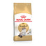 ROYAL CANIN Ragdoll adult 0.4 kg