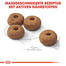 ROYAL CANIN Medium sterilised 3 kg