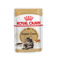 ROYAL CANIN Mainecoon 12x85 g