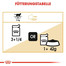 ROYAL CANIN British Shorthair 85 g bustina 12 x 85 g