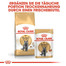 ROYAL CANIN British Shorthair 85 g bustina 12 x 85 g