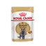 ROYAL CANIN British Shorthair Pâtée 12x85 g