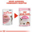 ROYAL CANIN Kitten Bocconcini in salsa 85 g x 12