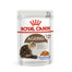 ROYAL CANIN Ageing +12 en gelée 12x85g