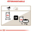 ROYAL CANIN Ageing + 12 Jelly 12x85g