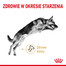 ROYAL CANIN German Shepherd Adult 5+ 12 kg