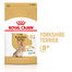 ROYAL CANIN Yorkshire Terrier Adult 8+ 0,5 kg