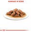 ROYAL CANIN Medium ageing 10+ 10 x 140 g