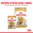 ROYAL CANIN Shih Tzu Adult Loaf 12 x 85 g