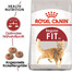 ROYAL CANIN REGULAR FIT 32 20 kg (2 x 10 kg) karma sucha dla kotów dorosłych, wspierająca idealną kondycję