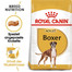 ROYAL CANIN Boxer Adult Aliments secs pour chiens boxer adultes 24 kg (2x12 kg)