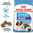 ROYAL CANIN Giant Starter Mother&Babydog 2 x 15 kg