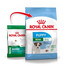 ROYAL CANIN Mini Puppy / Junior Aliments secs pour chiots de 2 à 10 mois, petites races 8 kg + Mini puppy 12x85 g