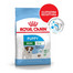 ROYAL CANIN Mini Puppy / Junior Aliments secs pour chiots de 2 à 10 mois, petites races 8 kg + Mini puppy 12x85 g
