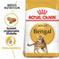ROYAL CANIN Bengal Adult 2 x 10 kg