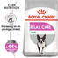 ROYAL CANIN CCN Mini Relax Care Aliment sec pour chiens adultes de petites races stressés 16 kg (2x8 kg)