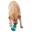 TRIXIE Un jouet pour les friandises pour chien Œuf snack culbuto 13 cm