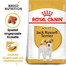 ROYAL CANIN Jack Russell Terrier Adult 2 x 7.5 kg