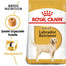 ROYAL CANIN Labrador Retriever Adult Aliment sec pour chiens adultes de la race labrador retriever 24 kg (2x12 kg)