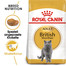 ROYAL CANIN British Shorthair - Nourriture complète pour les chats adultes British Shorthair - 2 x 10 kg