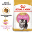 ROYAL CANIN Persian Kitten 2 x 10 kg