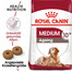 ROYAL CANIN Medium Ageing 10+ 2 x 15 kg