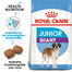 ROYAL CANIN Giant Junior 2 x 15 kg