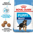 ROYAL CANIN Maxi Puppy 2 x 15 kg