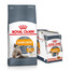 ROYAL CANIN Hair&Skin Care Aliment sec pour chats 10 kg + Intense Beauty Aliments humides pour chats en gelée 12x85 g