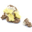 MACED - Biscuits pour chiens "Animal mix" - 10 kg