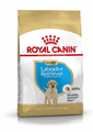 ROYAL CANIN Labrador retriever junior 12 kg